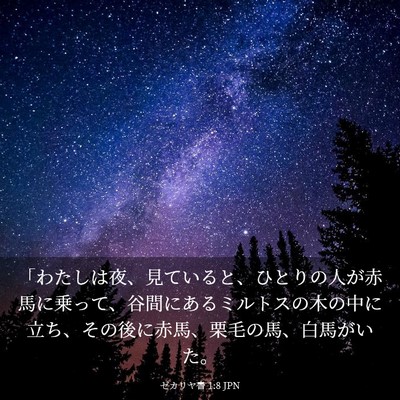 Picture 03 - ゼカリヤ書 1:8 JPN - 「わたしは夜、見ていると、ひとり - Bible Verse Picture