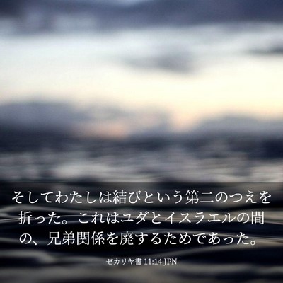 Picture 03 - ゼカリヤ書 11:14 JPN - そしてわたしは結びという第二のつ - Bible Verse Picture