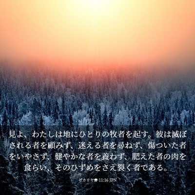 Picture 03 - ゼカリヤ書 11:16 JPN - 見よ、わたしは地にひとりの牧者を - Bible Verse Picture