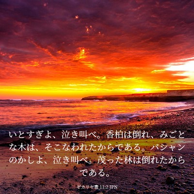 Picture 03 - ゼカリヤ書 11:2 JPN - いとすぎよ、泣き叫べ。香柏は倒れ - Bible Verse Picture