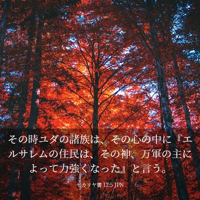 Picture 03 - ゼカリヤ書 12:5 JPN - その時ユダの諸族は、その心の中に - Bible Verse Picture