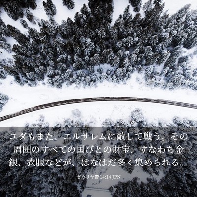 Picture 03 - ゼカリヤ書 14:14 JPN - ユダもまた、エルサレムに敵して戦 - Bible Verse Picture