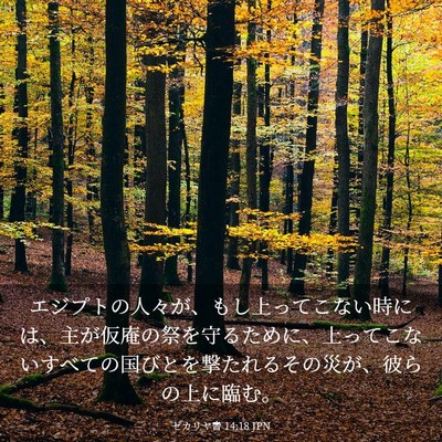 Picture 03 - ゼカリヤ書 14:18 JPN - エジプトの人々が、もし上ってこな - Bible Verse Picture