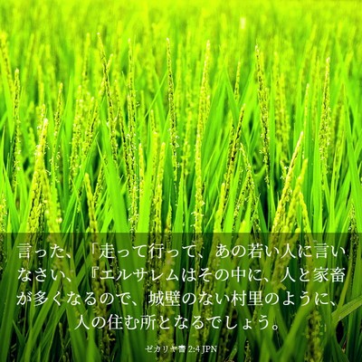 Picture 03 - ゼカリヤ書 2:4 JPN - 言った、「走って行って、あの若い - Bible Verse Picture