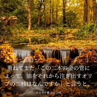 Picture 03 - ゼカリヤ書 4:12 JPN - 重ねてまた「この二本の金の管によ - Bible Verse Picture