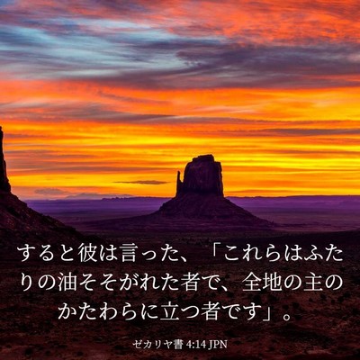 Picture 03 - ゼカリヤ書 4:14 JPN - すると彼は言った、「これらはふた - Bible Verse Picture