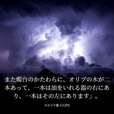 Picture 03 - ゼカリヤ書 4:3 JPN - また燭台のかたわらに、オリブの木 - Bible Verse Picture