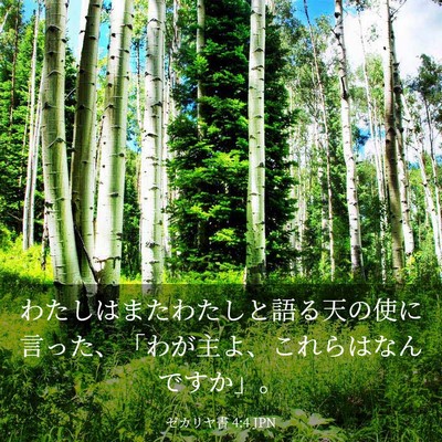 Picture 03 - ゼカリヤ書 4:4 JPN - わたしはまたわたしと語る天の使に - Bible Verse Picture