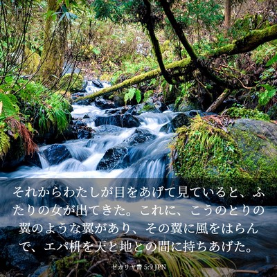 Picture 03 - ゼカリヤ書 5:9 JPN - それからわたしが目をあげて見てい - Bible Verse Picture