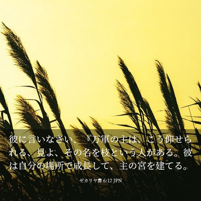 Picture 03 - ゼカリヤ書 6:12 JPN - 彼に言いなさい、『万軍の主は、こ - Bible Verse Picture