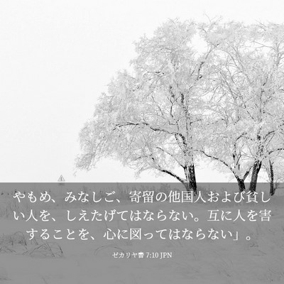 Picture 03 - ゼカリヤ書 7:10 JPN - やもめ、みなしご、寄留の他国人お - Bible Verse Picture