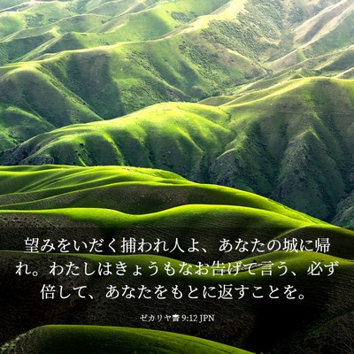 Picture 03 - ゼカリヤ書 9:12 JPN - 望みをいだく捕われ人よ、あなたの - Bible Verse Picture