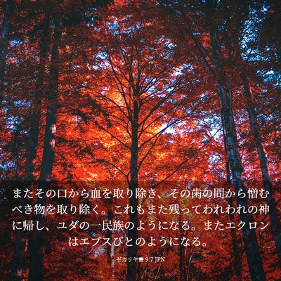 Picture 03 - ゼカリヤ書 9:7 JPN - またその口から血を取り除き、その - Bible Verse Picture