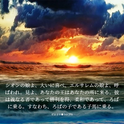 Picture 03 - ゼカリヤ書 9:9 JPN - シオンの娘よ、大いに喜べ、エルサ - Bible Verse Picture