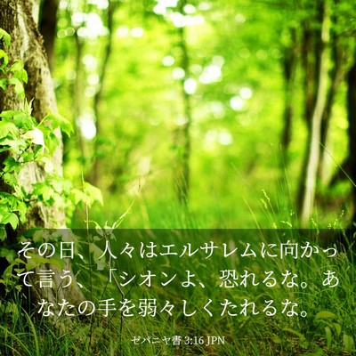 Picture 03 - ゼパニヤ書 3:16 JPN - その日、人々はエルサレムに向かっ - Bible Verse Picture