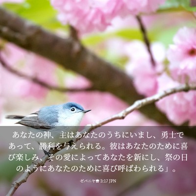 Picture 03 - ゼパニヤ書 3:17 JPN - あなたの神、主はあなたのうちにい - Bible Verse Picture