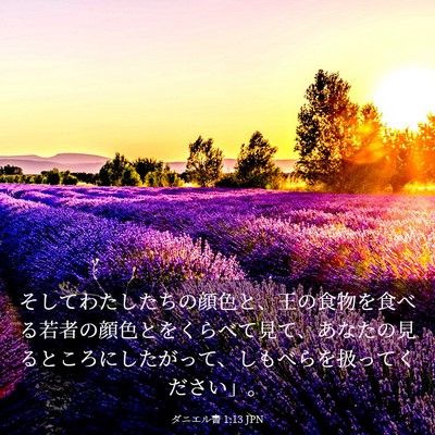 Picture 03 - ダニエル書 1:13 JPN - そしてわたしたちの顔色と、王の食 - Bible Verse Picture
