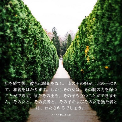 Picture 03 - ダニエル書 11:6 JPN - 年を経て後、彼らは縁組をなし、南 - Bible Verse Picture