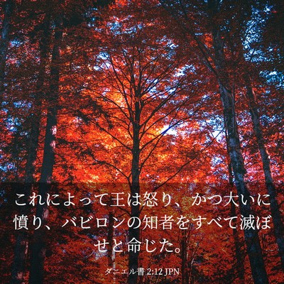 Picture 03 - ダニエル書 2:12 JPN - これによって王は怒り、かつ大いに - Bible Verse Picture