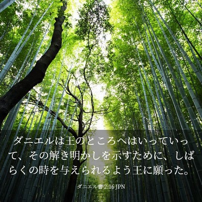 Picture 03 - ダニエル書 2:16 JPN - ダニエルは王のところへはいってい - Bible Verse Picture