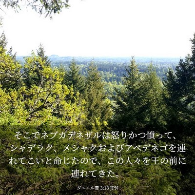 Picture 03 - ダニエル書 3:13 JPN - そこでネブカデネザルは怒りかつ憤 - Bible Verse Picture