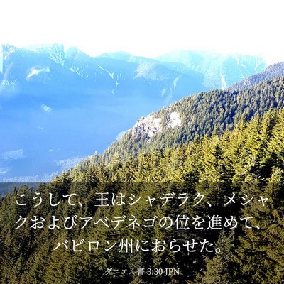 Picture 03 - ダニエル書 3:30 JPN - こうして、王はシャデラク、メシャ - Bible Verse Picture