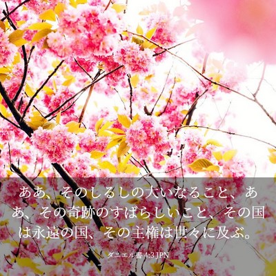 Picture 03 - ダニエル書 4:3 JPN - ああ、そのしるしの大いなること、 - Bible Verse Picture