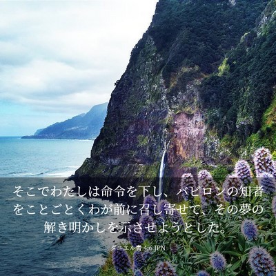 Picture 03 - ダニエル書 4:6 JPN - そこでわたしは命令を下し、バビロ - Bible Verse Picture
