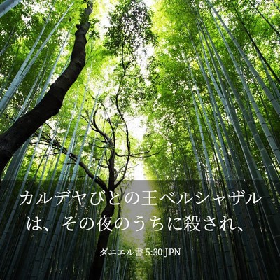 Picture 03 - ダニエル書 5:30 JPN - カルデヤびとの王ベルシャザルは、 - Bible Verse Picture