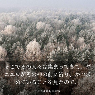 Picture 03 - ダニエル書 6:11 JPN - そこでその人々は集まってきて、ダ - Bible Verse Picture