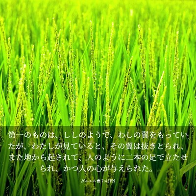Picture 03 - ダニエル書 7:4 JPN - 第一のものは、ししのようで、わし - Bible Verse Picture