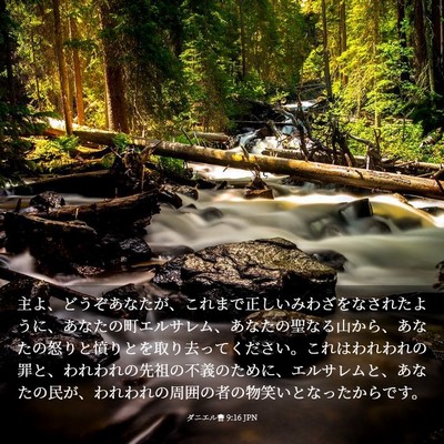 Picture 03 - ダニエル書 9:16 JPN - 主よ、どうぞあなたが、これまで正 - Bible Verse Picture