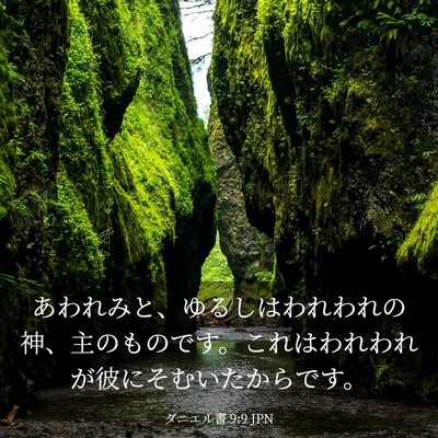 Picture 03 - ダニエル書 9:9 JPN - あわれみと、ゆるしはわれわれの神 - Bible Verse Picture