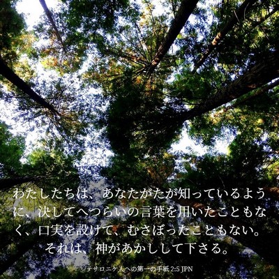 Picture 03 - テサロニケ人への第一の手紙 2:5 JPN - わたしたちは、あなたがたが知って - Bible Verse Picture