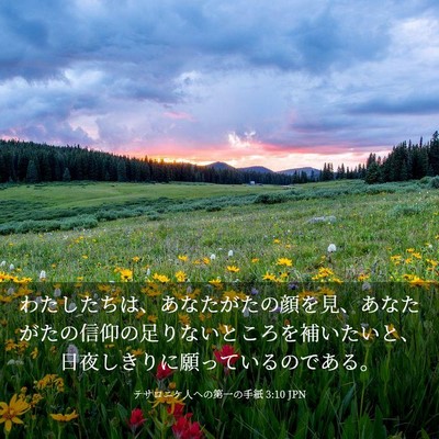 Picture 03 - テサロニケ人への第一の手紙 3:10 JPN - わたしたちは、あなたがたの顔を見 - Bible Verse Picture