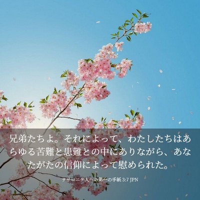 Picture 03 - テサロニケ人への第一の手紙 3:7 JPN - 兄弟たちよ。それによって、わたし - Bible Verse Picture