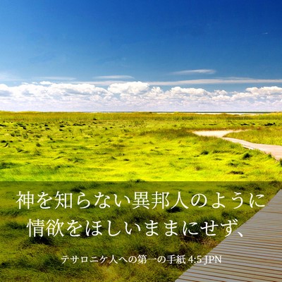 Picture 03 - テサロニケ人への第一の手紙 4:5 JPN - 神を知らない異邦人のように情欲を - Bible Verse Picture