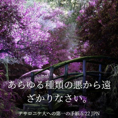 Picture 03 - テサロニケ人への第一の手紙 5:22 JPN - あらゆる種類の悪から遠ざかりなさ - Bible Verse Picture