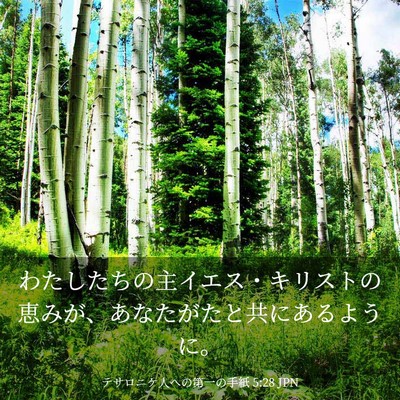 Picture 03 - テサロニケ人への第一の手紙 5:28 JPN - わたしたちの主イエス・キリストの - Bible Verse Picture