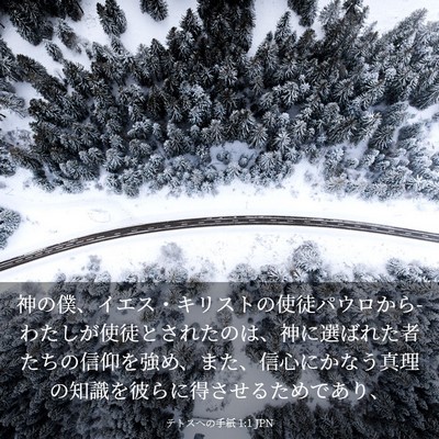 Picture 03 - テトスヘの手紙 1:1 JPN - 神の僕、イエス・キリストの使徒パ - Bible Verse Picture