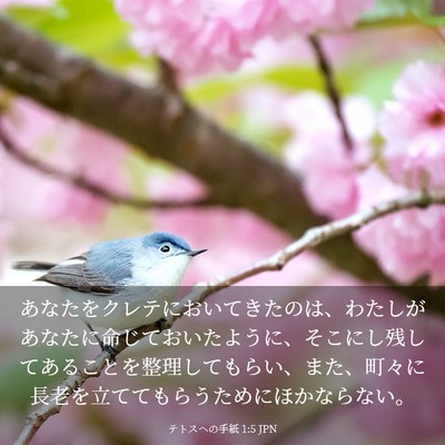 Picture 03 - テトスヘの手紙 1:5 JPN - あなたをクレテにおいてきたのは、 - Bible Verse Picture