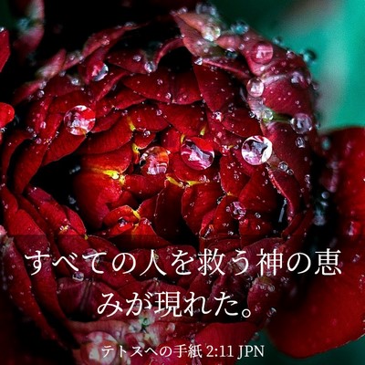 Picture 03 - テトスヘの手紙 2:11 JPN - すべての人を救う神の恵みが現れた - Bible Verse Picture