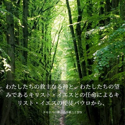 Picture 03 - テモテヘの第一の手紙 1:1 JPN - わたしたちの救主なる神と、わたし - Bible Verse Picture