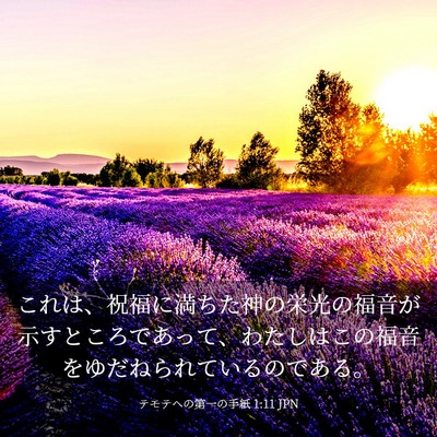 Picture 03 - テモテヘの第一の手紙 1:11 JPN - これは、祝福に満ちた神の栄光の福 - Bible Verse Picture