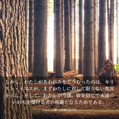 Picture 03 - テモテヘの第一の手紙 1:16 JPN - しかし、わたしがあわれみをこうむ - Bible Verse Picture
