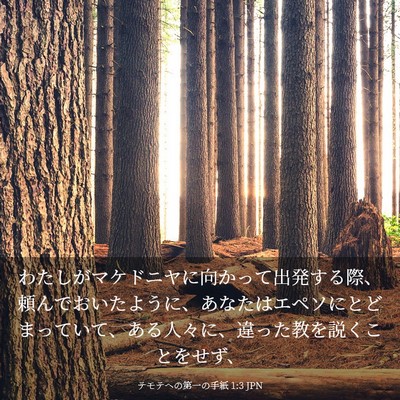 Picture 03 - テモテヘの第一の手紙 1:3 JPN - わたしがマケドニヤに向かって出発 - Bible Verse Picture