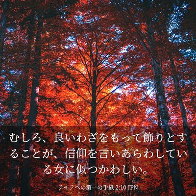 Picture 03 - テモテヘの第一の手紙 2:10 JPN - むしろ、良いわざをもって飾りとす - Bible Verse Picture