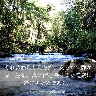 Picture 03 - テモテヘの第一の手紙 2:2 JPN - それはわたしたちが、安らかで静か - Bible Verse Picture