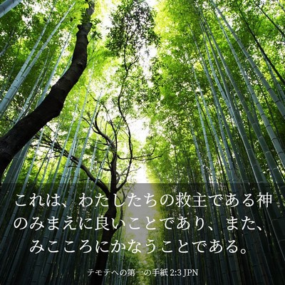 Picture 03 - テモテヘの第一の手紙 2:3 JPN - これは、わたしたちの救主である神 - Bible Verse Picture