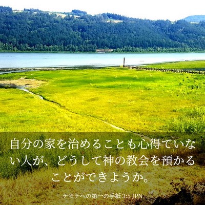 Picture 03 - テモテヘの第一の手紙 3:5 JPN - 自分の家を治めることも心得ていな - Bible Verse Picture